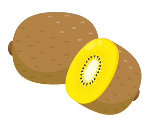 キウイ　フルーツ　果物