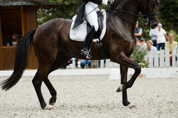 Pferd auf einem Turnier in einer Passage