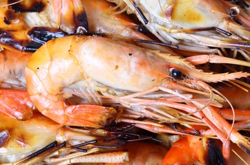 Grilled shrimps on white background