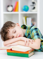 Tired young boy sleeps on a books at classroom in a school