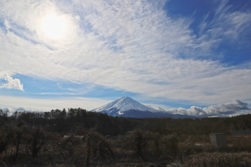 Fototapeta premium 【世界遺産】雪化粧の富士山