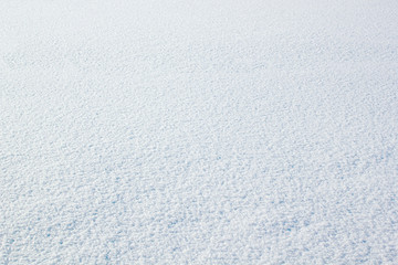 Fototapeta premium Real white snow surface