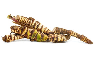 Fresh Acorus calamus (also called sweet flag or calamus) roots isolated on white background