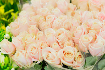 Huge bouquet of pink, beige roses in the shop. Flowers in bundles. Wholesale and retail selling in floristic base for Valentine's Day on February 14 or International Women's Day on March 8