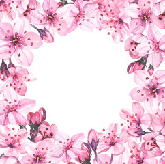 Watercolor hand painted sakura cherry blossom flowers illustration circle border frame