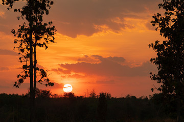 Beautiful countryside landscape, tree silhouette during sunset