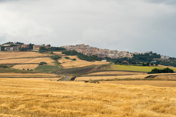 Fototapeta na wymiar Rural landscape in Apulia at summer near Candela