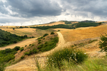 Fototapeta na wymiar Rural landscape in Apulia at summer near Candela