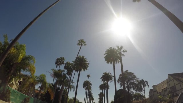Fahrt durch Beverly Hills, Hollywood, Los Angeles