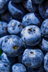 Colourful blueberrys at the market