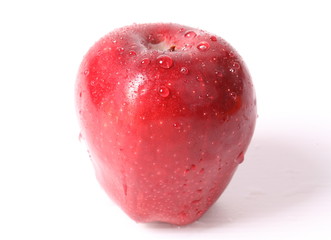 Red apple with water drops isolated on white background.