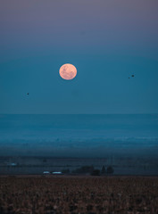 FullMoon Mendoza