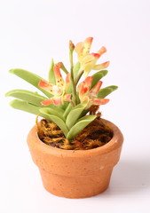 Close up Flowers made of clay.