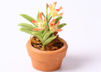 Close up Flowers made of clay.