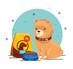 cute little dog with animal dish food vector illustration design