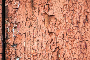 Cracked brown paint close-up. Background from a ragged wall in terracotta color.