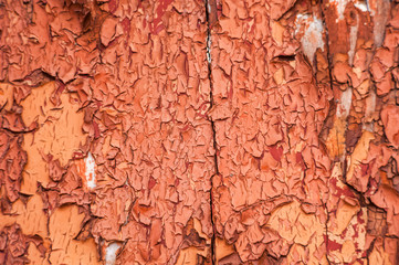 Cracked brown paint close-up. Background from a ragged wall in terracotta color.