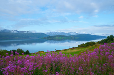 beautiful fjord in lofoten island , norway