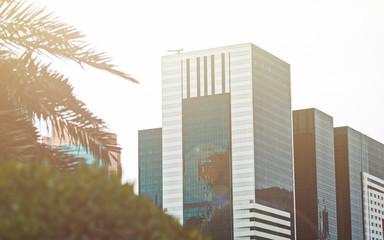 City background with palm trees at sunset.