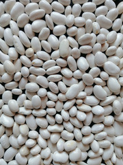 background of beans