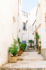 Fototapeta na wymiar Small street with stairs, white houses and green plants in Martina Franca, Italy