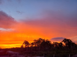 Sunset on the Forest