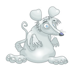 Rat