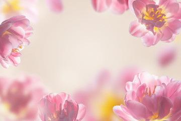 beautiful abstract bright frame with pink tulips.