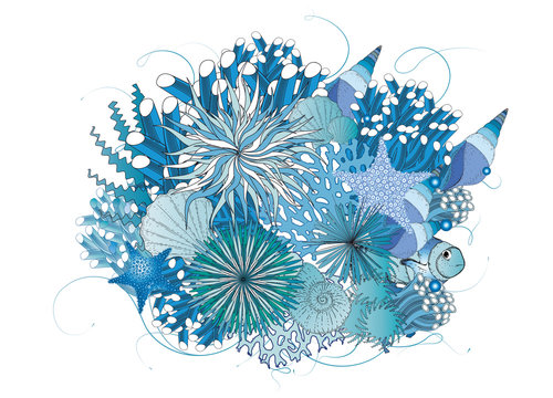 Korallenriff mit Muscheln,Seeanemonen und Korallen