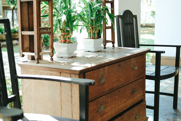 plant pot on wooden cabinet. chair in living room terrace. home interior
