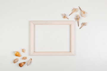 frame with sea shells - maritime decoration