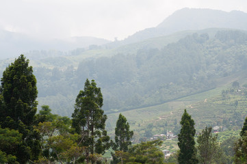 panoramic view of the mountains