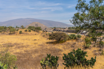 View of the Pyramid the Moon. Teotihuacan (place of your Divine gourd bowl)  the largest city in the pre-Columbian Americas. Mexico.