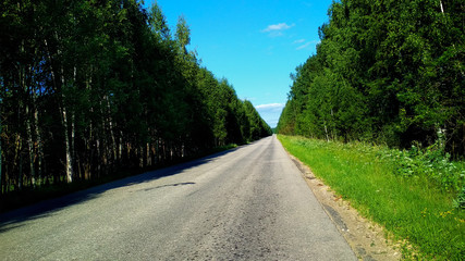 road in forest