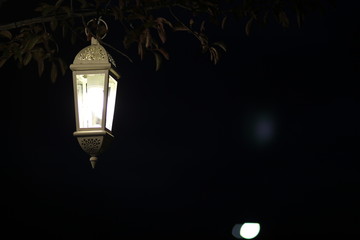 Street lantern hanging on a tree