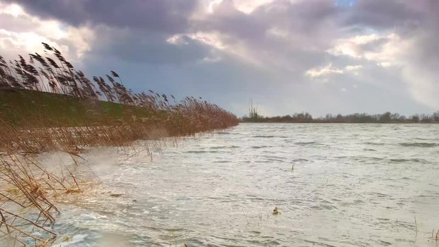 Water running over the floodplains of the river IJssel during flooding caused by high water levels in the river in Overijssel The Netherlands 