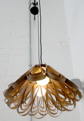 the  modern design ceiling lamps	