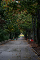 Vegetation in a park of Vienna