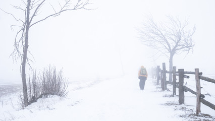 Peroson hiking on a road through a white landscape created by fog and s snow covered winter lanscape.