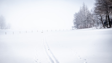 A single ski track  leading into through a white winter wonderland in the open country-side in Germany.