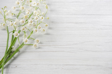 Spring lilies of the valley on white wooden background with copy space