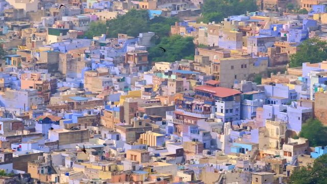 Jodhpur the Blue City aerial view. Blue painted houses and birds flying in the morning above brahmin houses, view from Mehrangarh Fort, Rajasthan, India. Camera horizontal pan