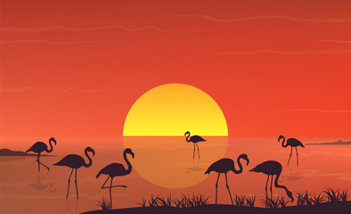 Fototapeta na wymiar Flamingo silhouette at sunset landscape on lake scene. Vector