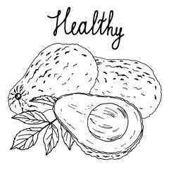 Vector sketch with avocado drawn in a graphic style. Perfect for menu design and decoration of healthy food.