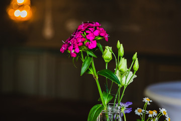 A red flower in a vase