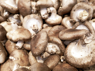 Dried mushrooms on the market as a background