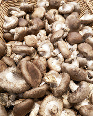 Dried mushrooms on the market as a background