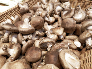 Dried mushrooms on the market as a background