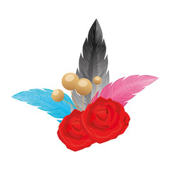 feathers elegants with rose flowers decoration vector illustration design