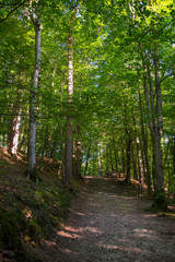 Beautiful park in Wejherowo